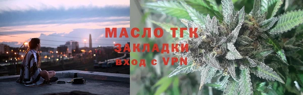 индика Аркадак