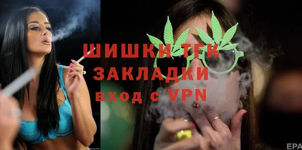 индика Аркадак