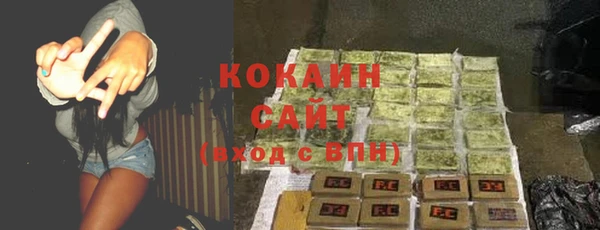 индика Аркадак