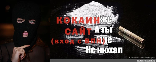 индика Аркадак