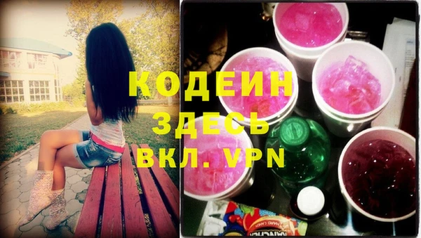 индика Аркадак