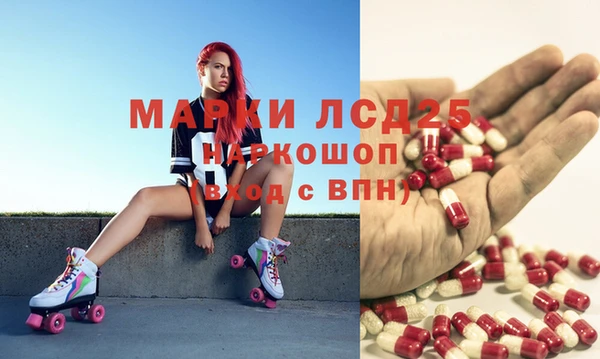 МДПВ Пересвет