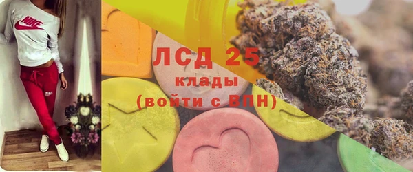 индика Аркадак