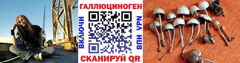 Галлюциногенные грибы Magic Shrooms  Верхний Уфалей 
